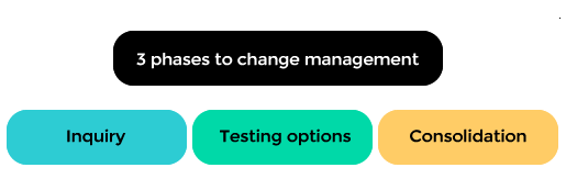 3 phases - inquiry, testing options and consolidation